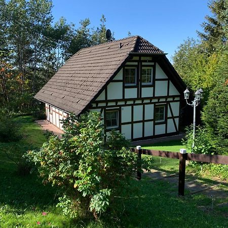 Die Kleine Ferienvilla Edersee Frankenau Экстерьер фото